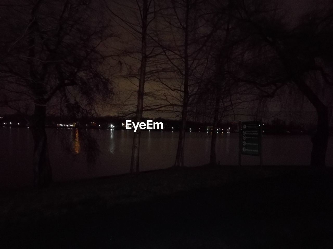 VIEW OF BARE TREES AT NIGHT