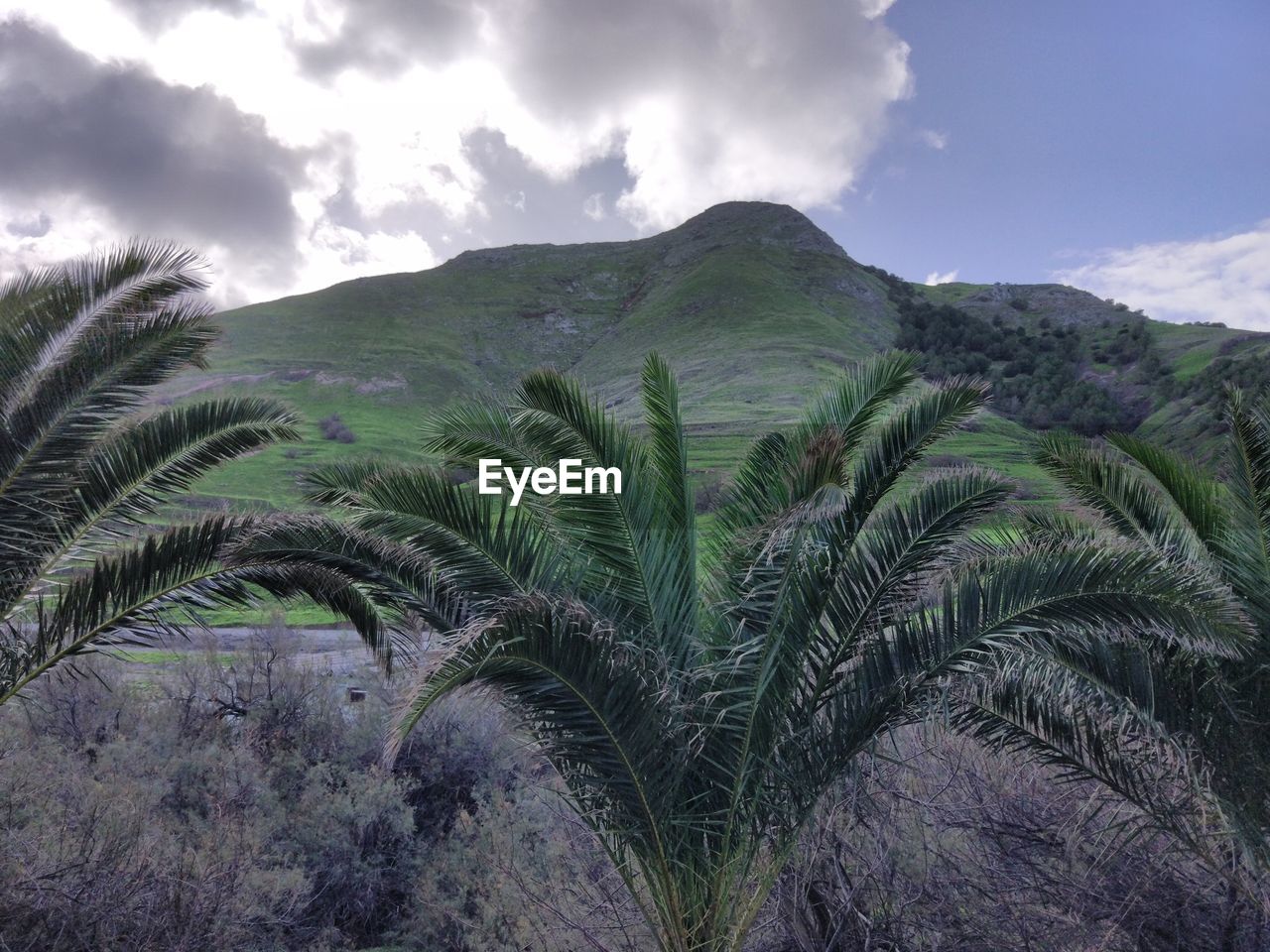 Scenic view of tree mountains against sky