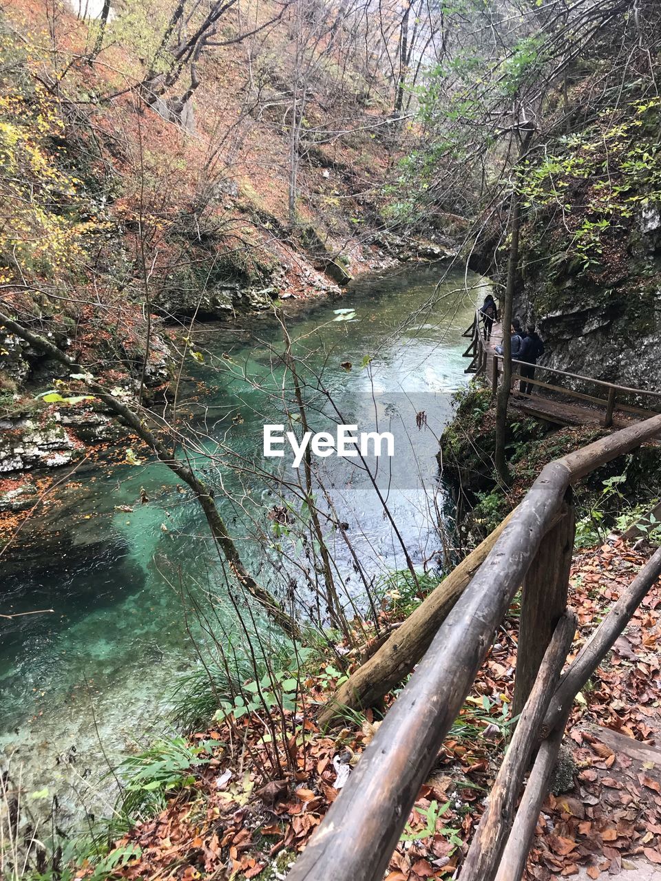 HIGH ANGLE VIEW OF WATERFALL IN FOREST