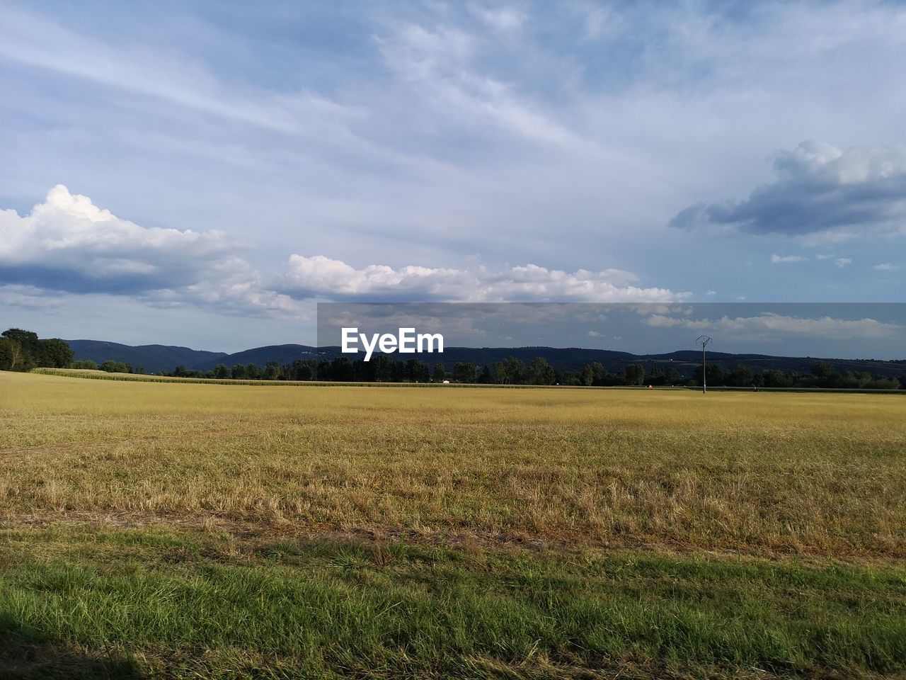 SCENIC VIEW OF FARM AGAINST SKY