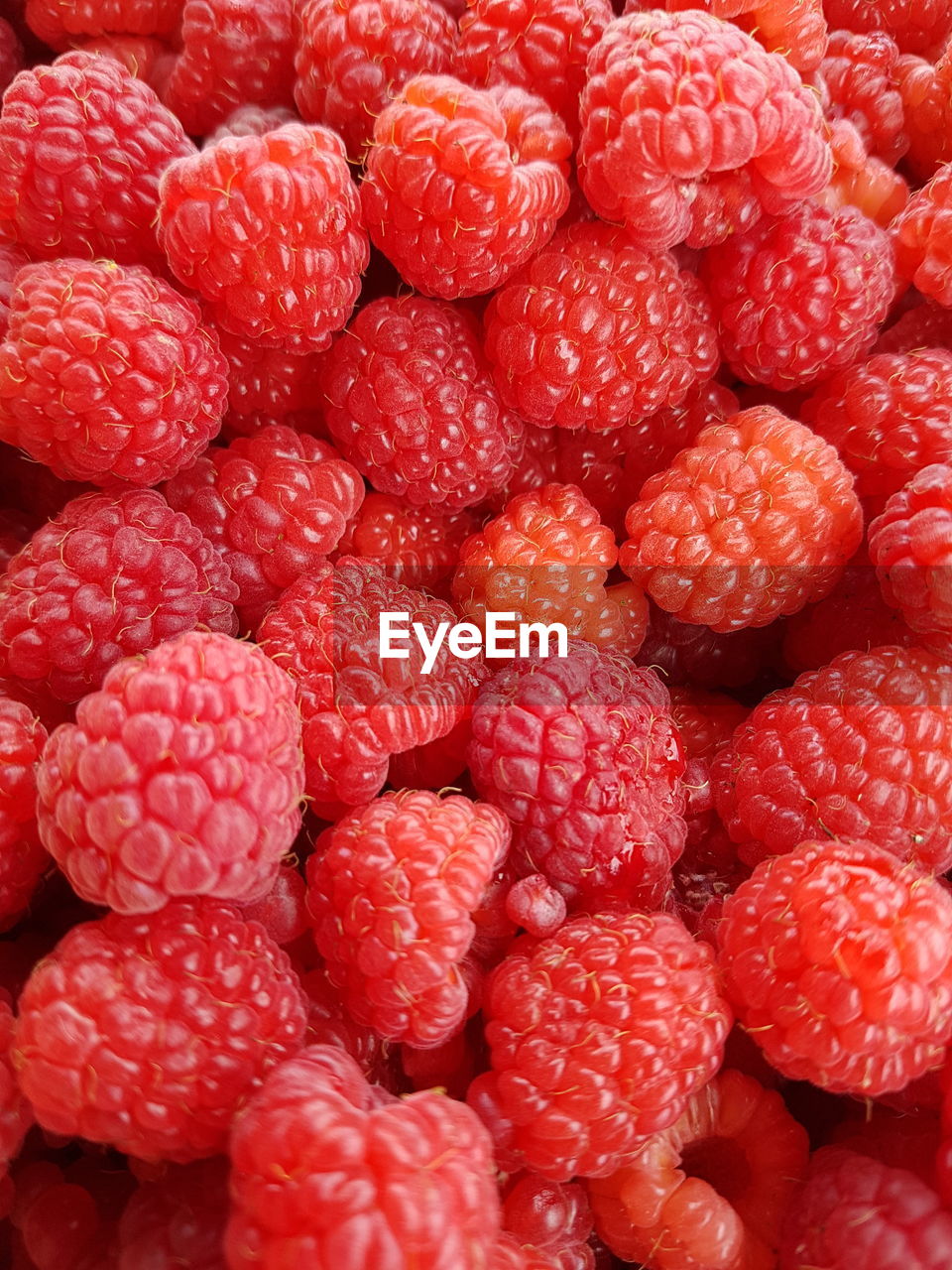 Full frame shot of raspberries