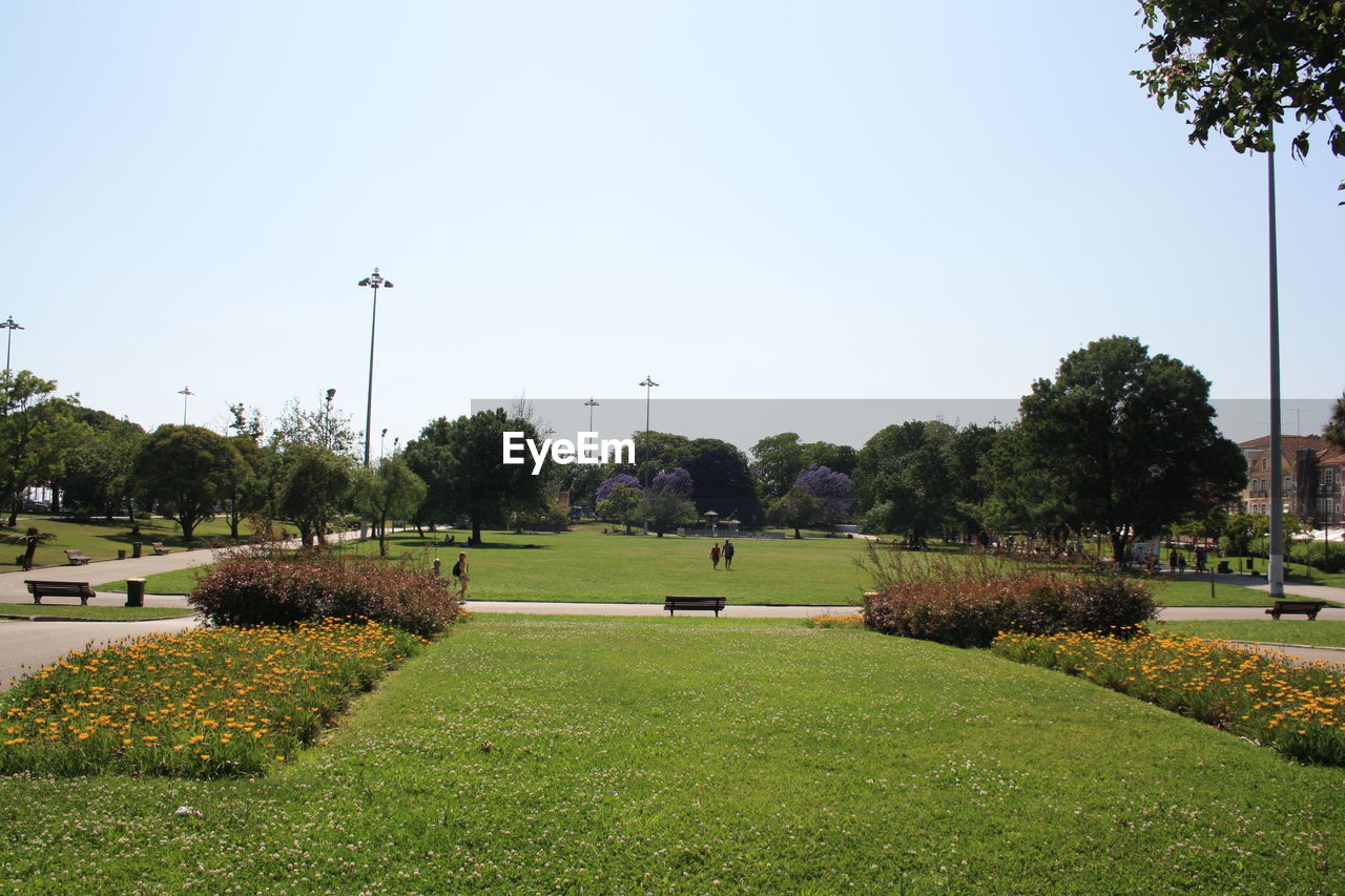 Scenic view of park against clear sky