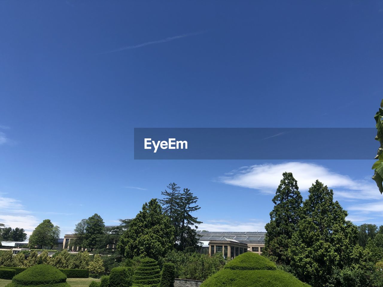 TREES AND PLANTS AGAINST SKY