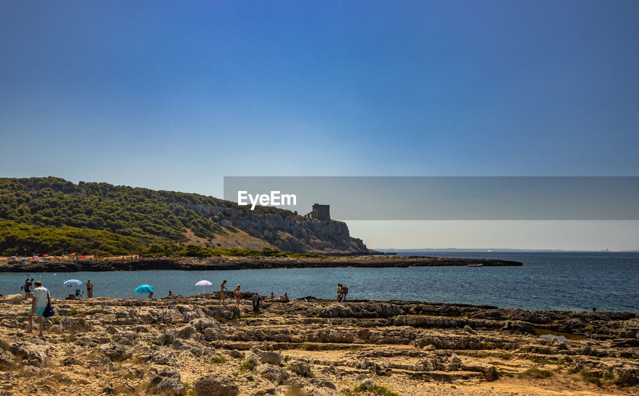 SCENIC VIEW OF BEACH AGAINST CLEAR SKY