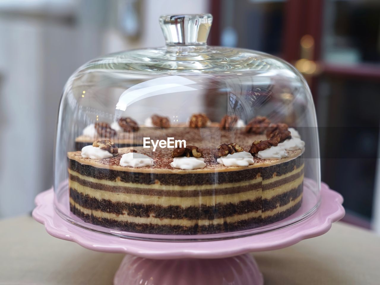 Close-up of cake under a cake dome