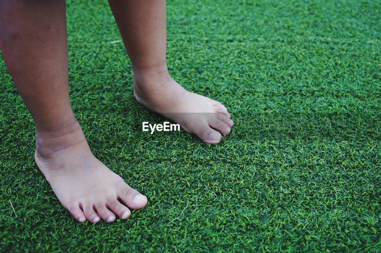 Low section of person standing on grass field