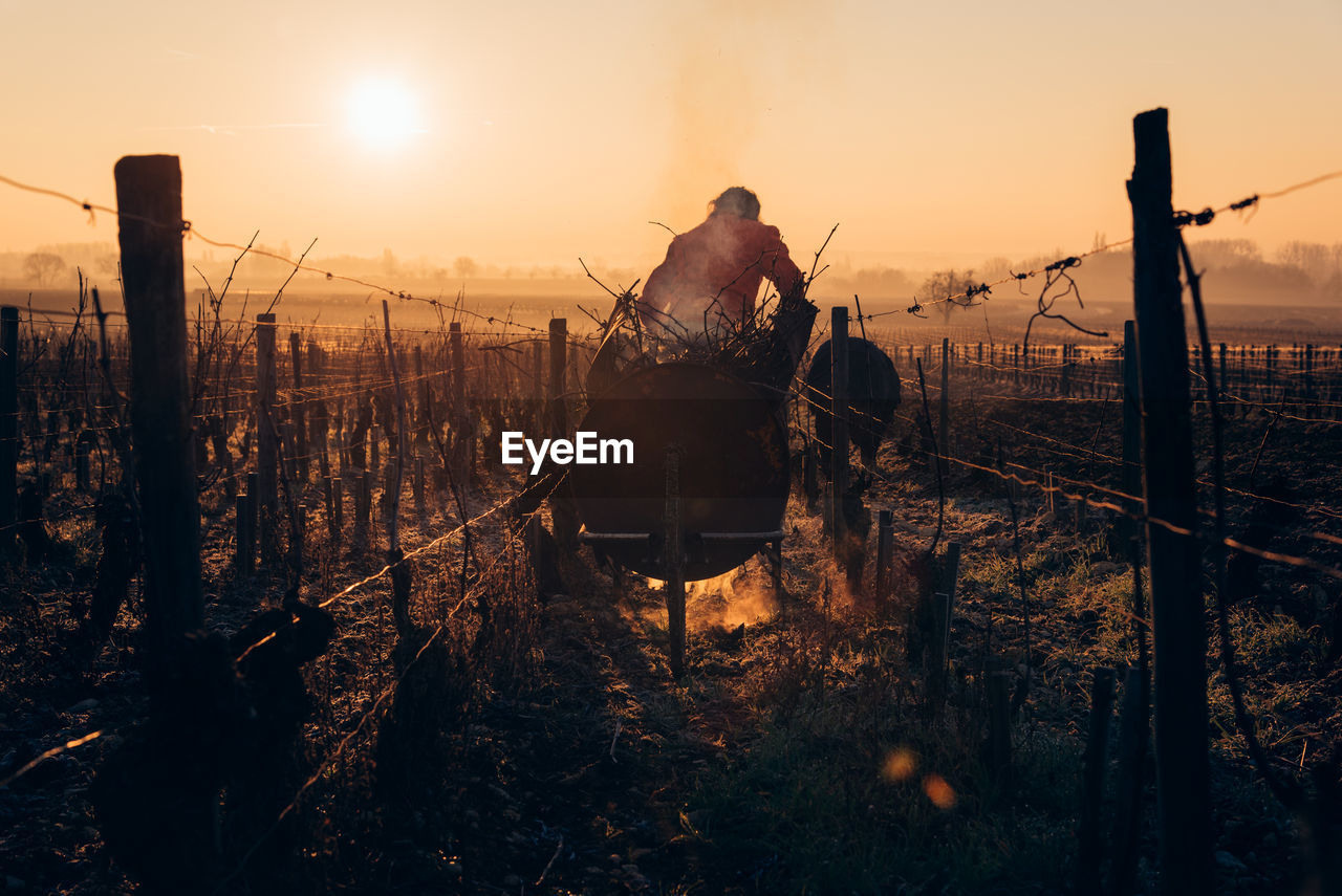 REAR VIEW OF MAN ON FIELD AT SUNSET