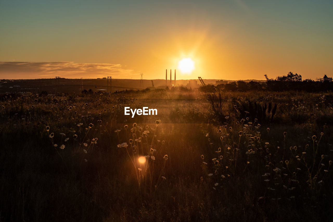 SCENIC VIEW OF FIELD AGAINST BRIGHT SUN DURING SUNSET