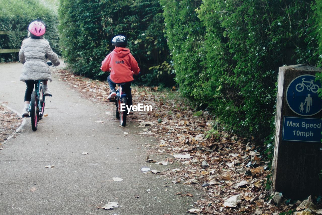 Rear view of two children cycling