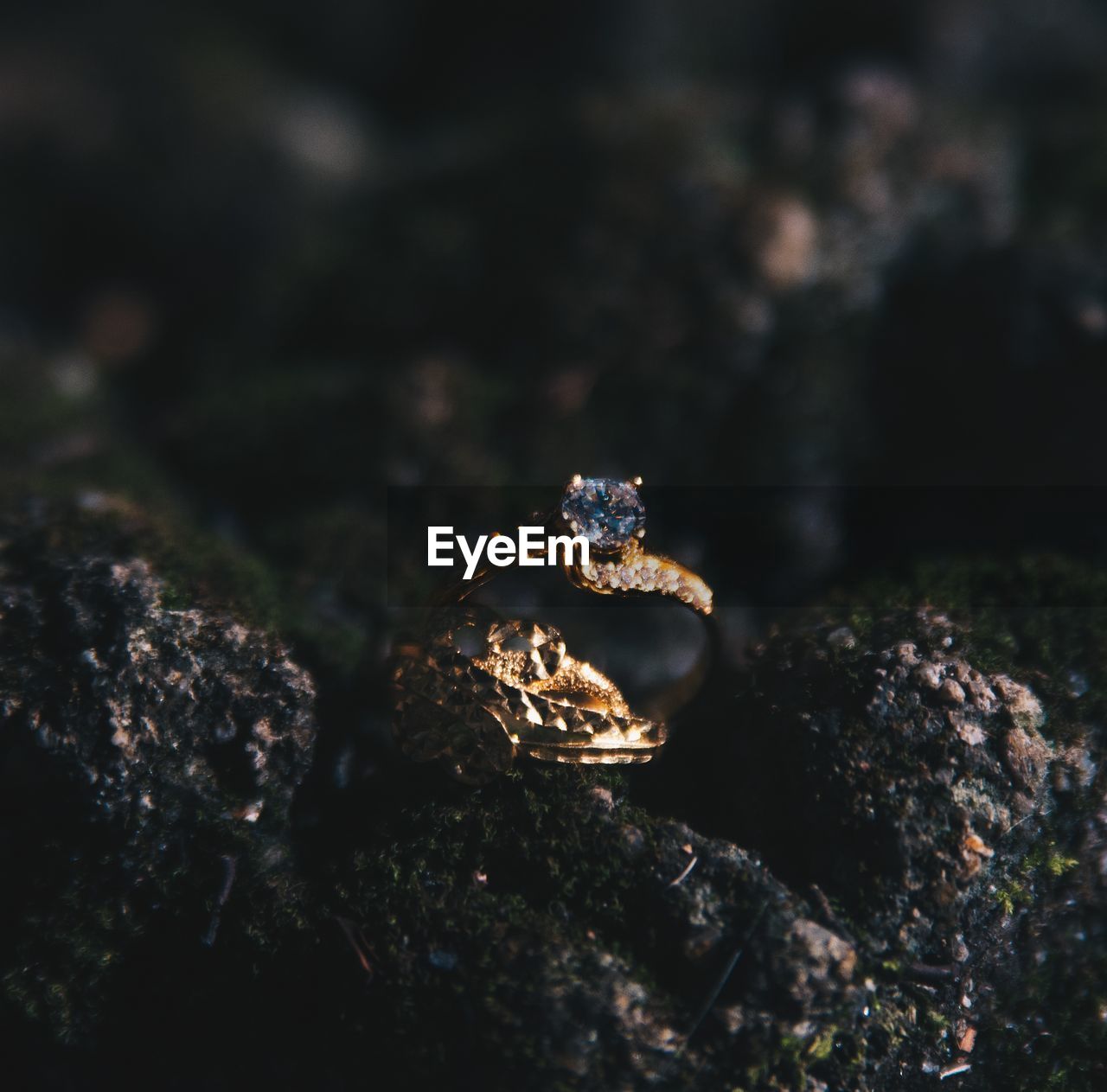 CLOSE-UP OF SPIDER ON ROCK IN A SUNLIGHT