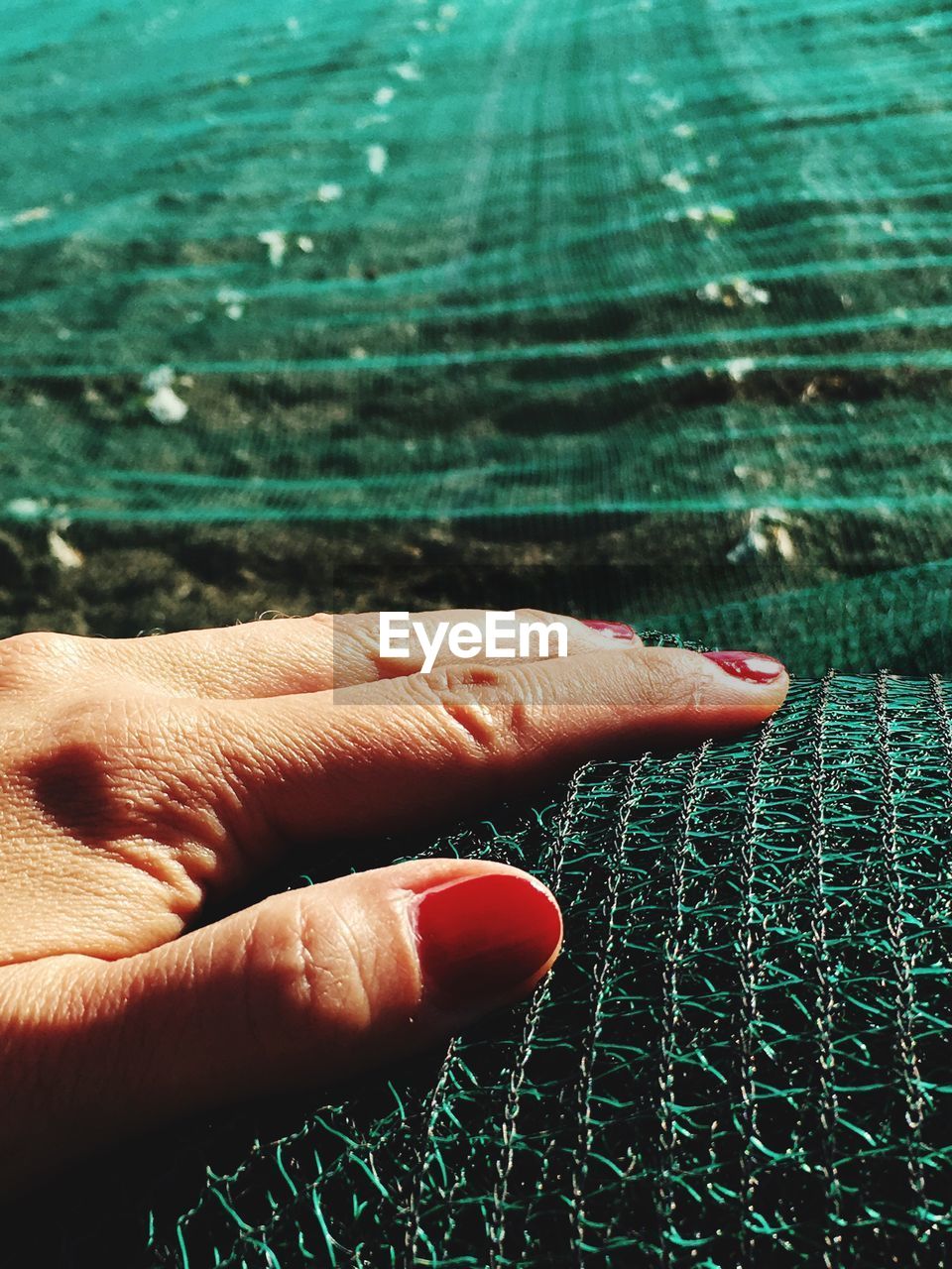 Cropped hand of woman touching net at farm