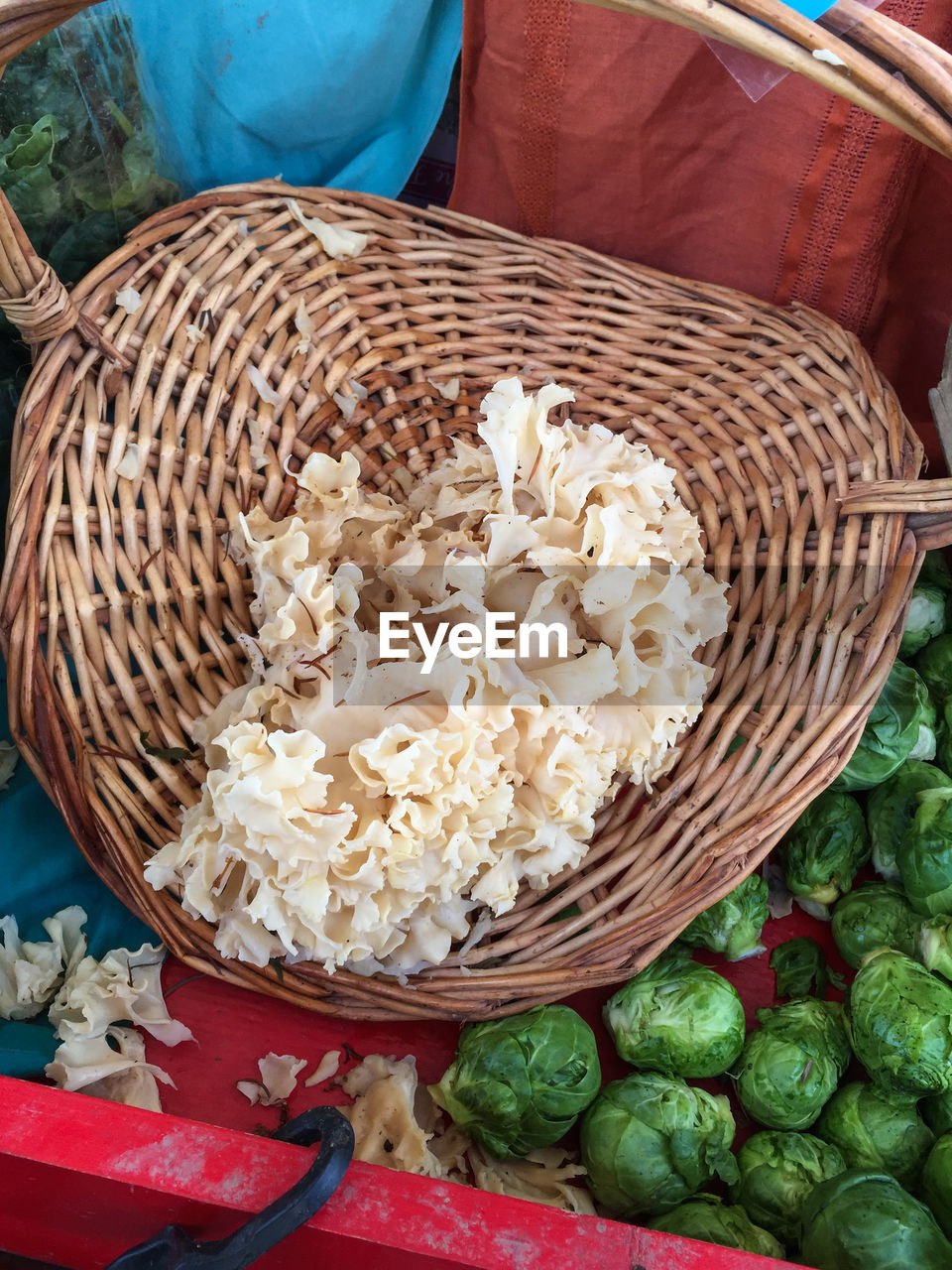 High angle view of fresh sparassis in wicker basket by cabbage at market stall