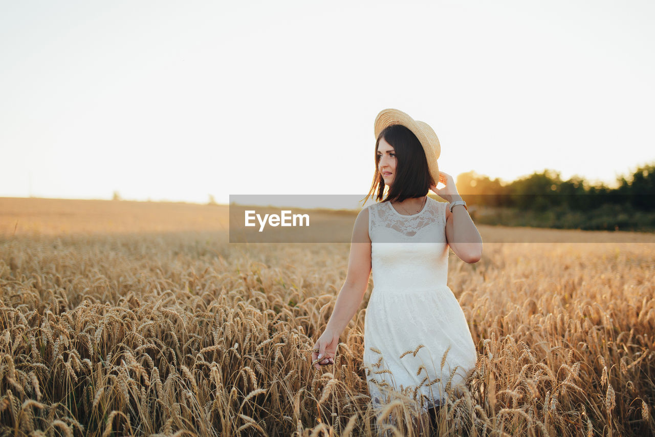 Girl in wheat field, girl's hand and wheat spikelet, sunset on field. high quality photo