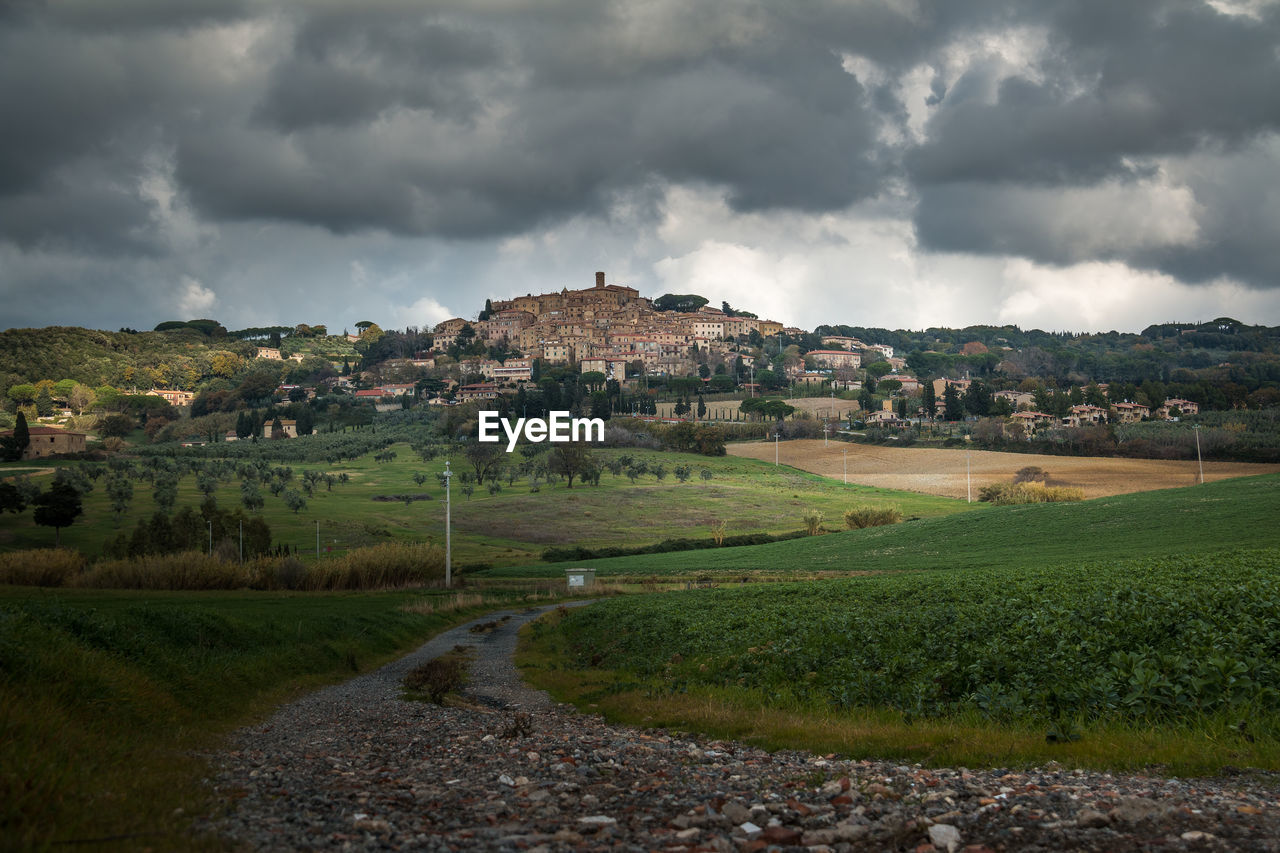 View of green landscape against cloudy sky