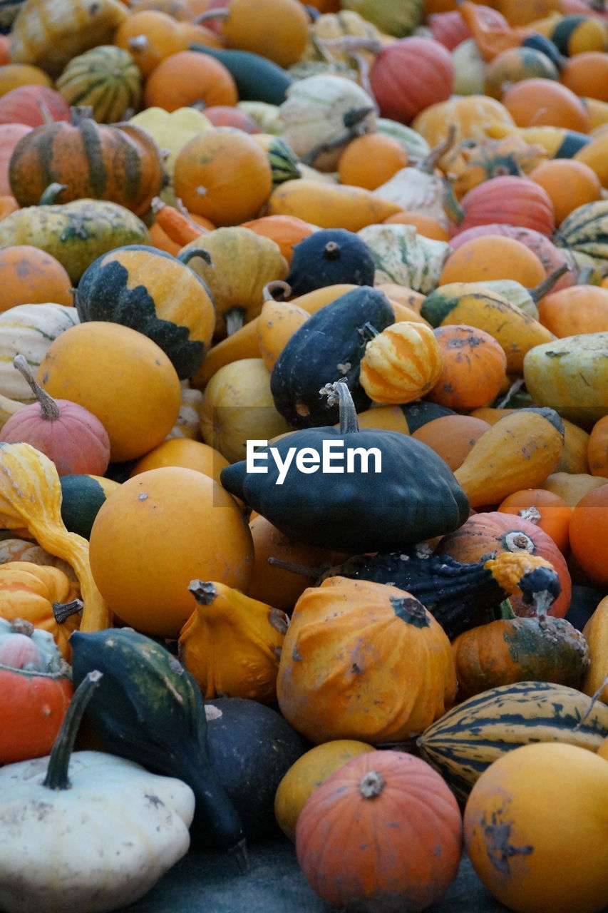 Pumpkins at market for sale