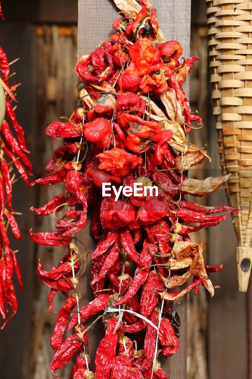 red, hanging, food, food and drink, dried food, chili pepper, flower, red chili pepper, plant, no people, spice, produce, pepper, abundance, large group of objects, tradition, freshness, vegetable, dry, focus on foreground, day, close-up, outdoors, drying, market, nature, asian food, healthy eating, holiday, architecture, wellbeing, bell peppers and chili peppers
