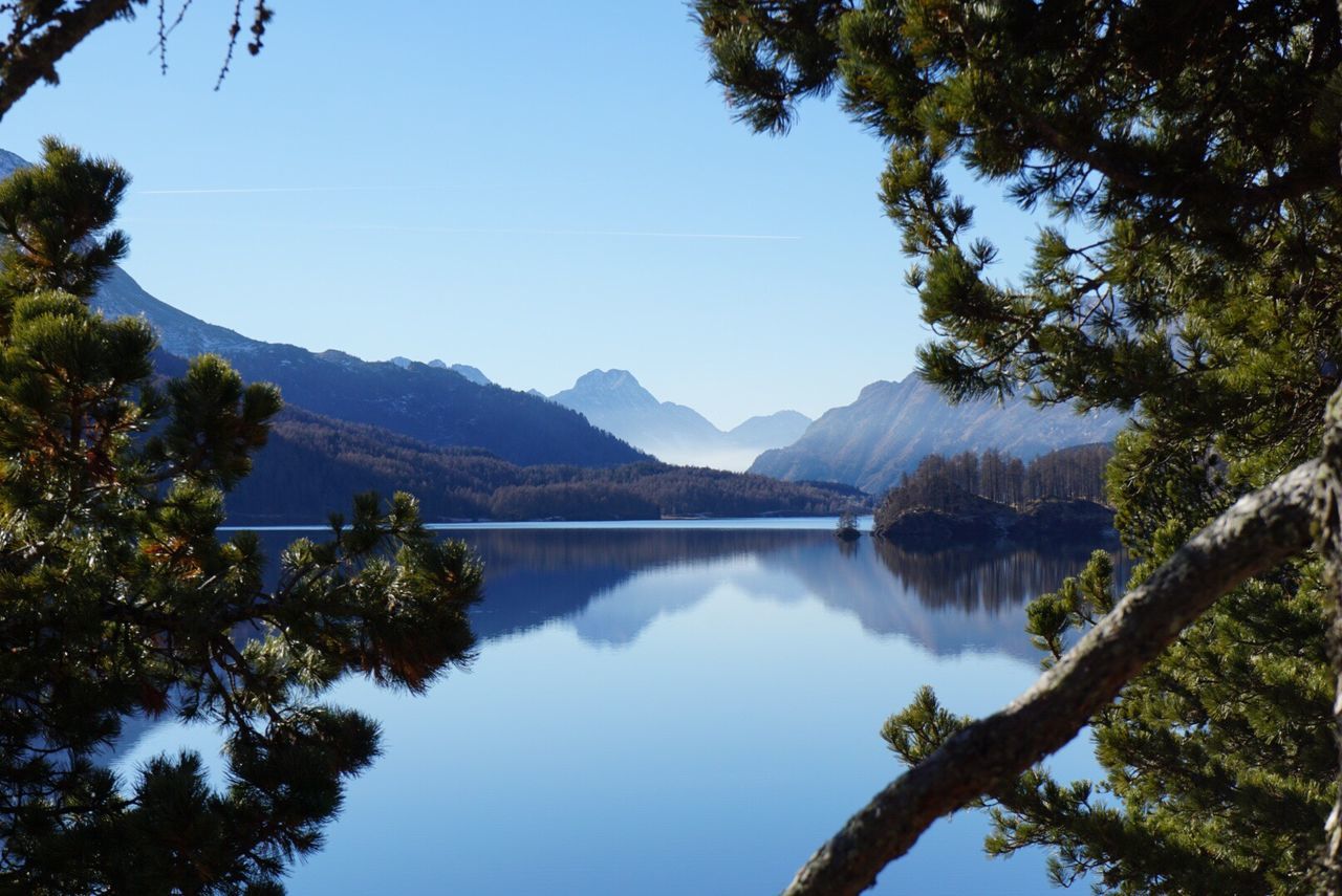 Scenic view of calm lake surrounded by trees against clear blue sky