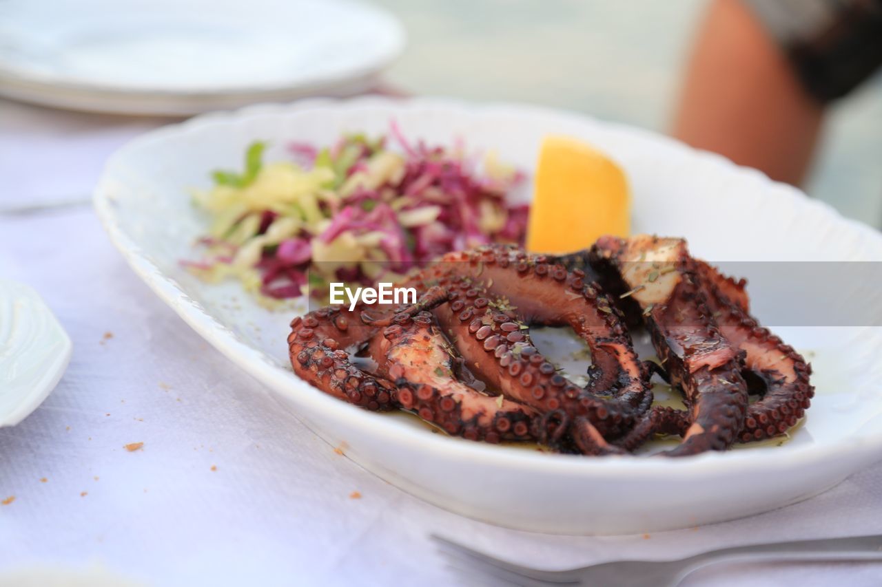 Close-up of meal with octopus and salad served in plate