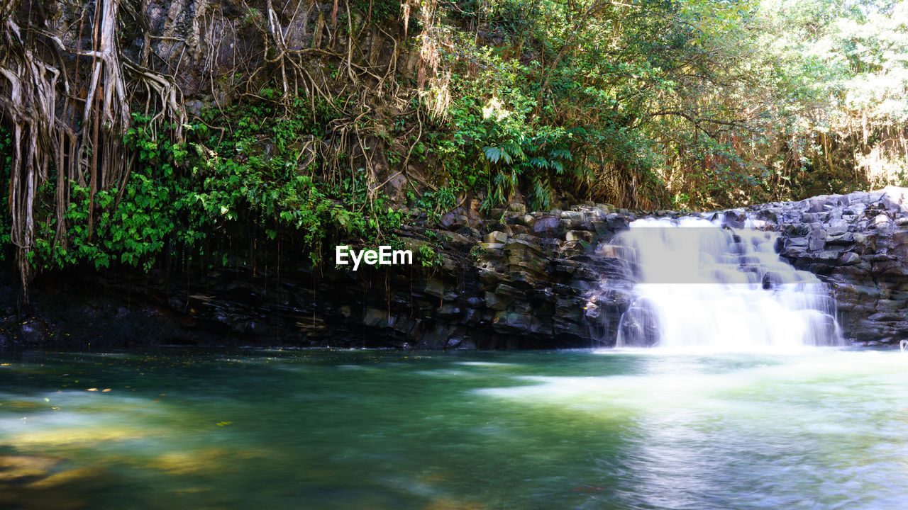 SCENIC VIEW OF WATERFALL