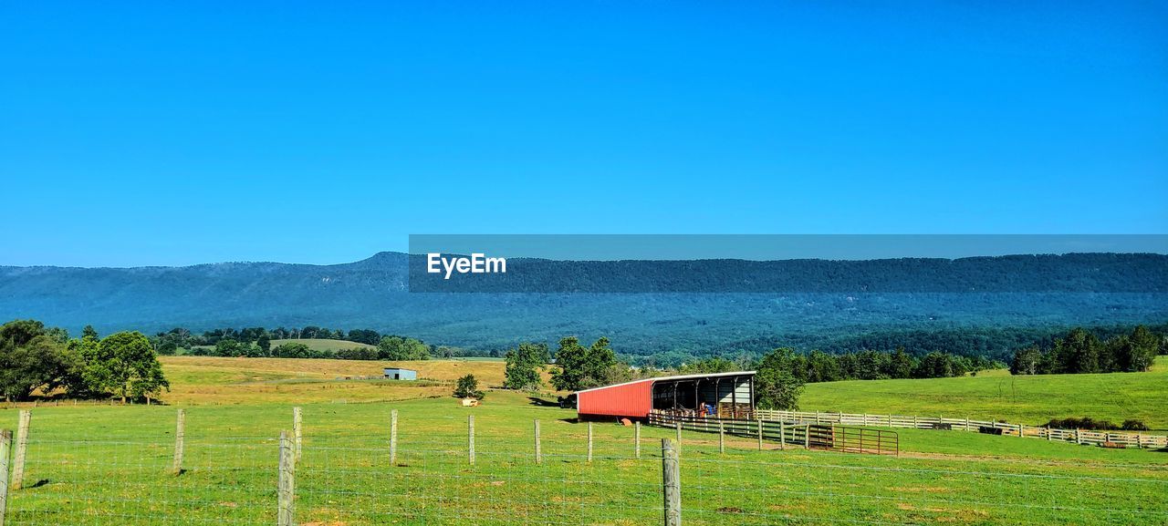 SCENIC VIEW OF FIELD AGAINST CLEAR SKY