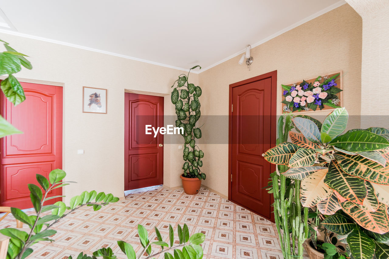 Potted plants on wall of house