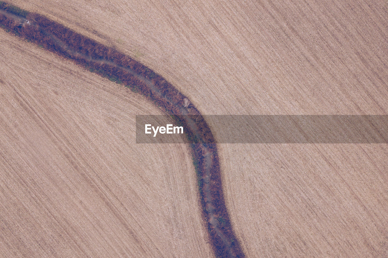 High angle view of footpath on agricultural field