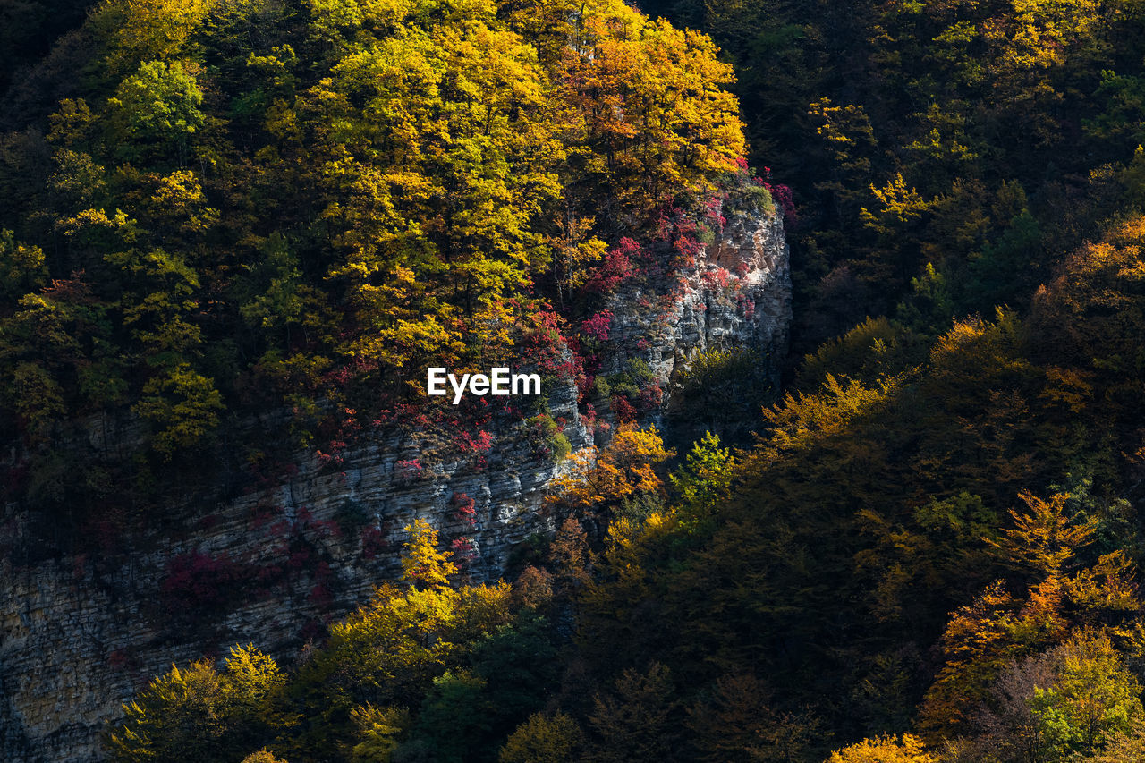 Autumn in the caucasus mountains. argun gorge in the chechen republic.