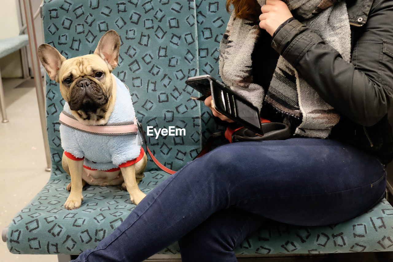 Unexpected things on trains - dog on seat on metro train