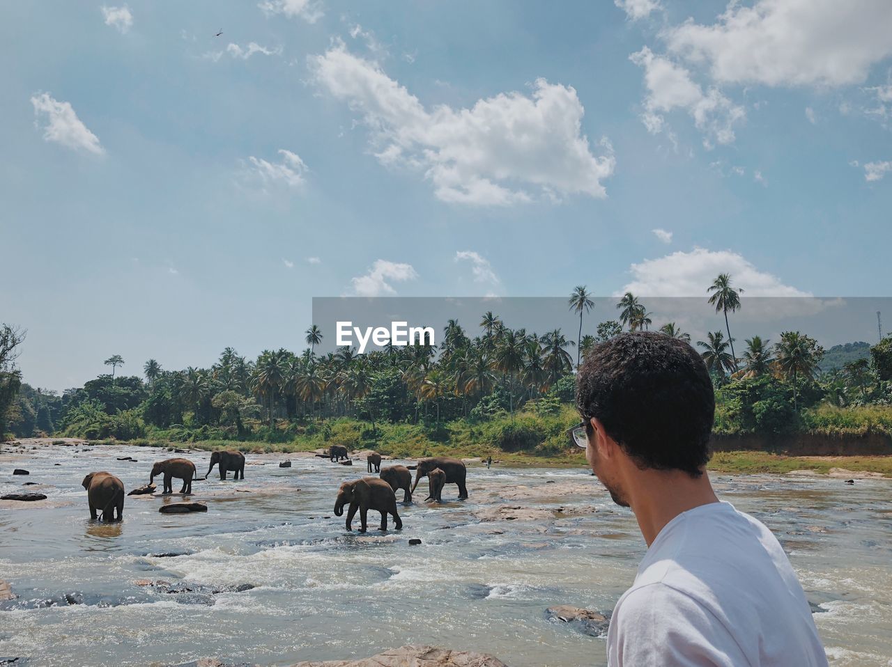 Man looking at elephants in river against sky