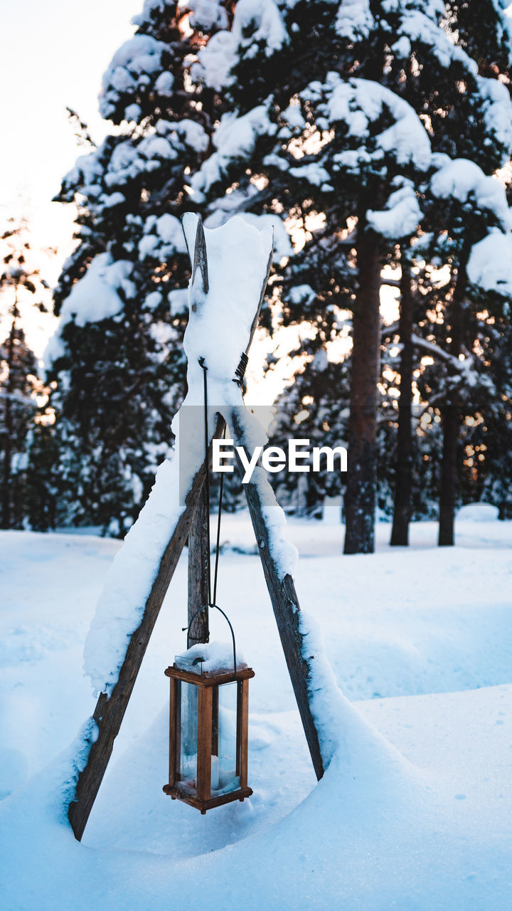 Snow covered tree on field during winter