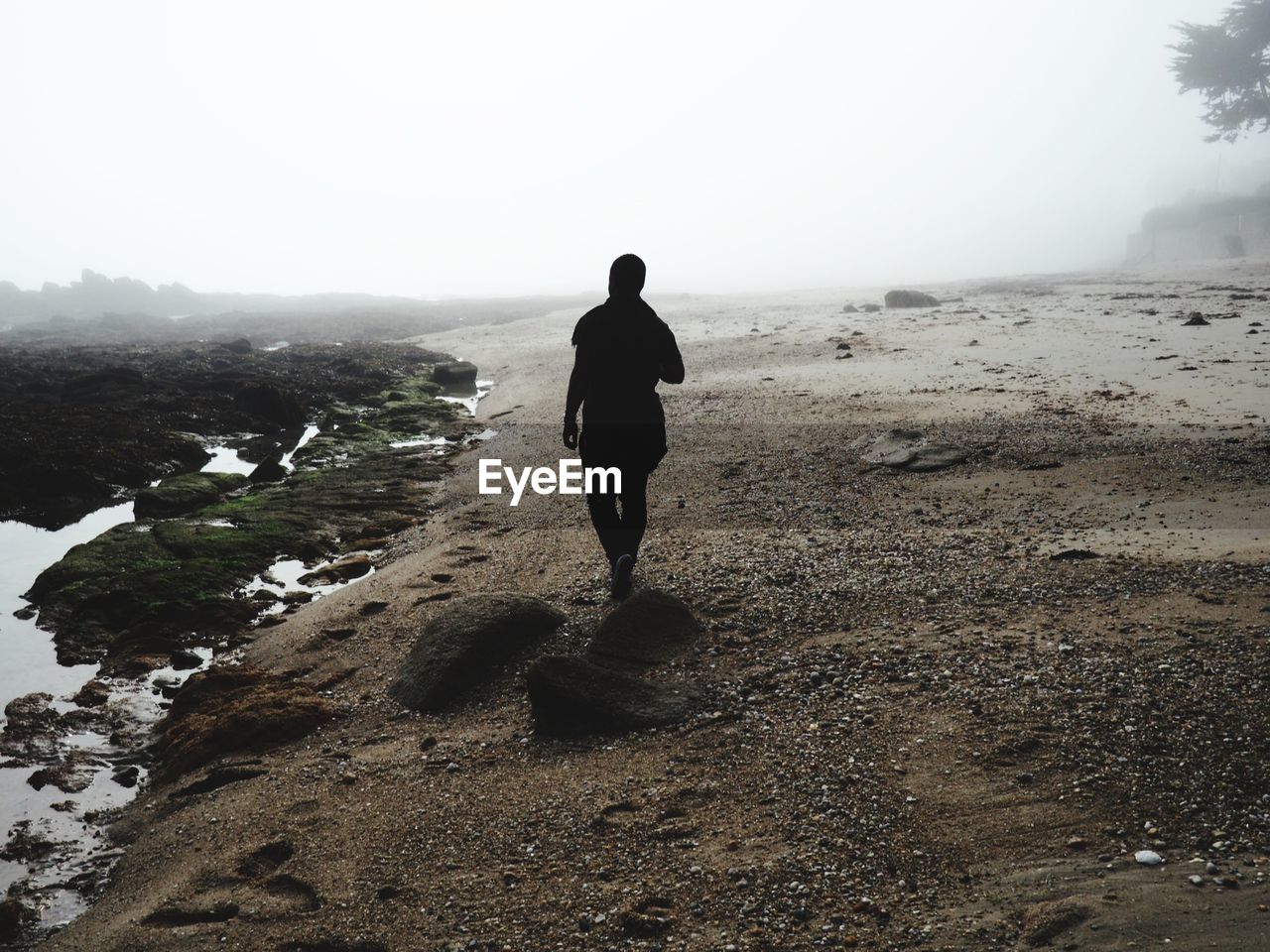 Silhouette man walking at beach during foggy weather