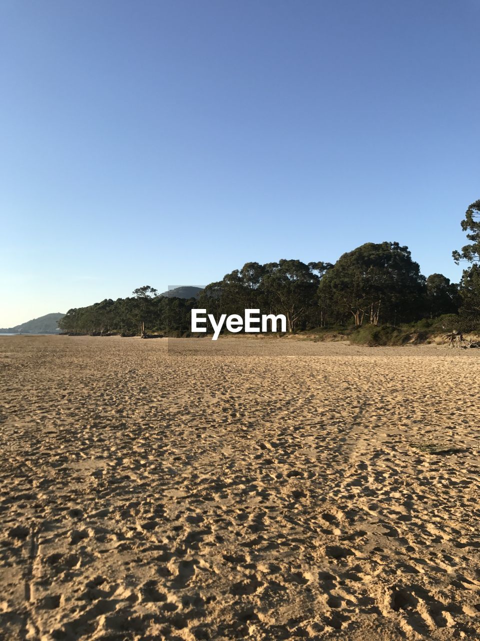 Scenic view of landscape against clear blue sky