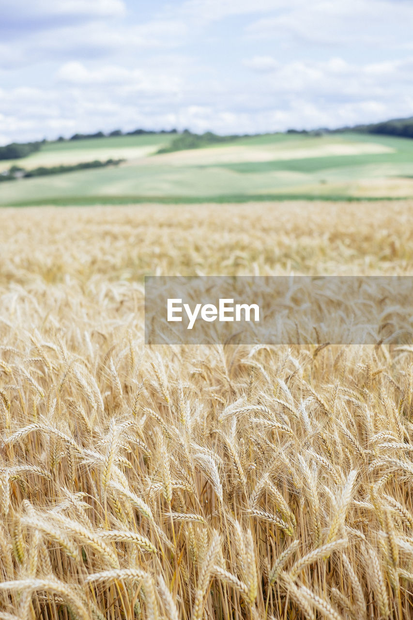 Scenic view of field against cloudy sky