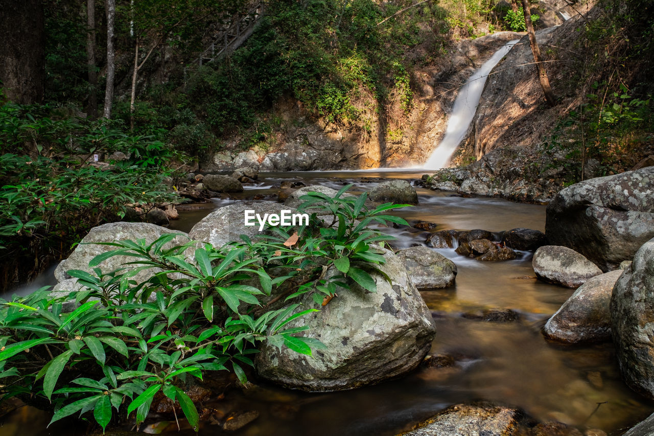 STREAM AMIDST ROCKS IN FOREST