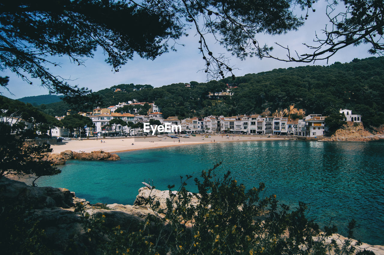 Seascape with a plant in the middle on a cloudy day on the costa brava in catalonia, spain