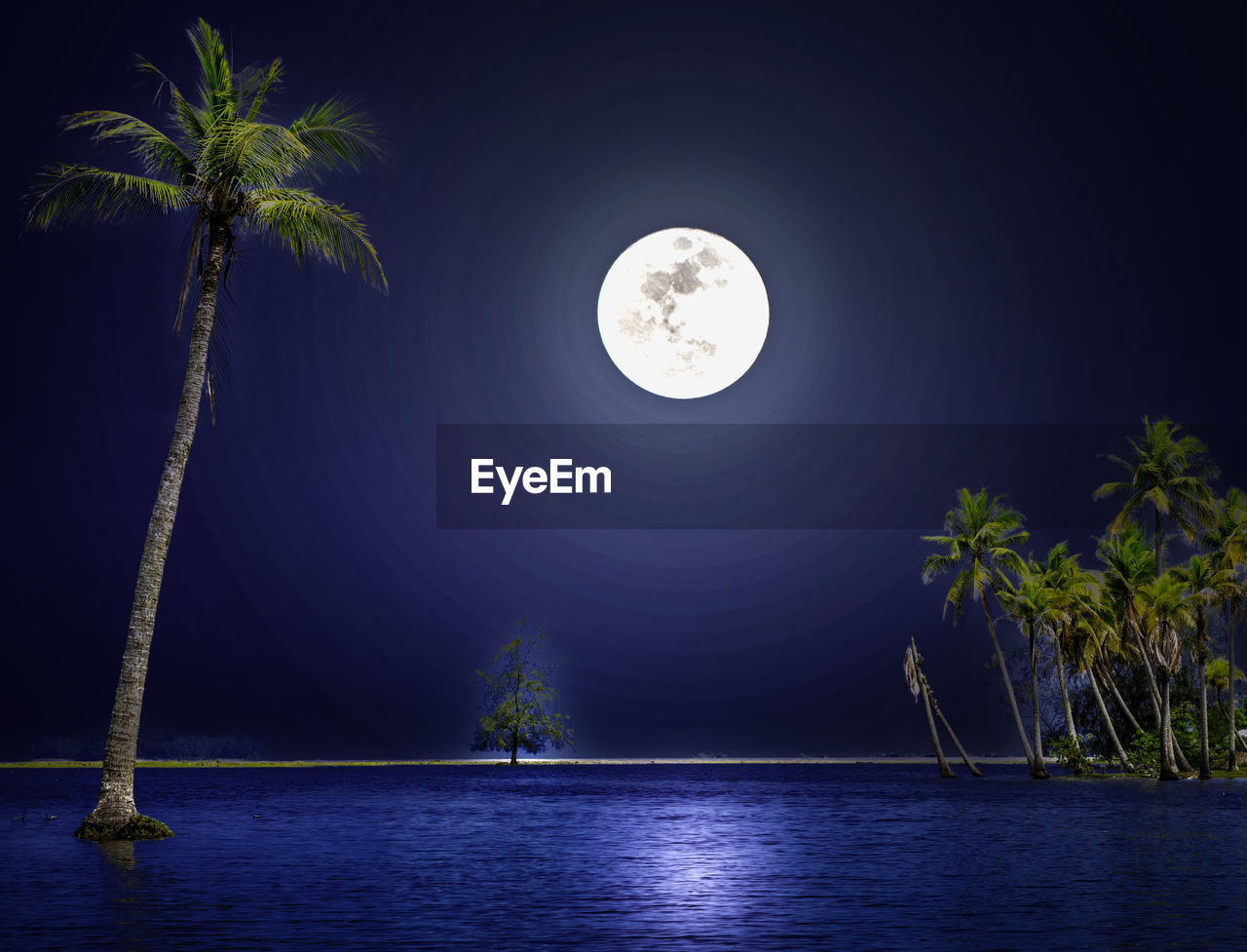 moon, tree, moonlight, full moon, palm tree, night, plant, water, nature, sky, tropical climate, beauty in nature, no people, scenics - nature, tranquility, sea, darkness, tranquil scene, coconut palm tree, outdoors, land, reflection, blue, screenshot, astronomical object, circle, shape, illuminated, geometric shape, beach, space, environment, light