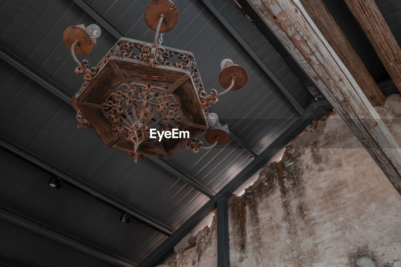 LOW ANGLE VIEW OF A BIRD ON CEILING OF BUILDING