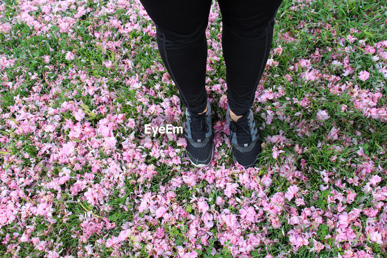 Low section of woman standing on flowers