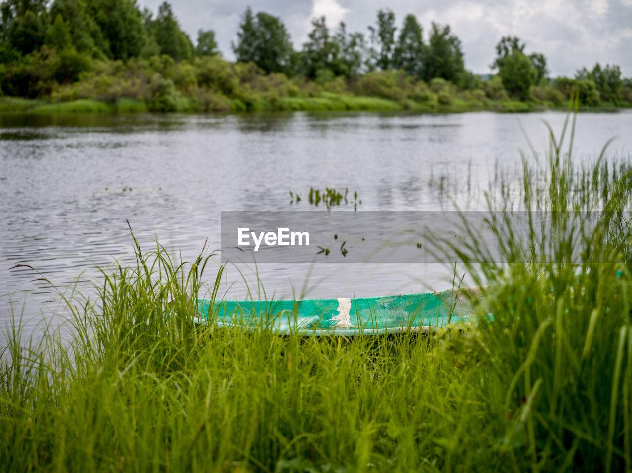 SCENIC VIEW OF LAKE WITH TREES IN BACKGROUND