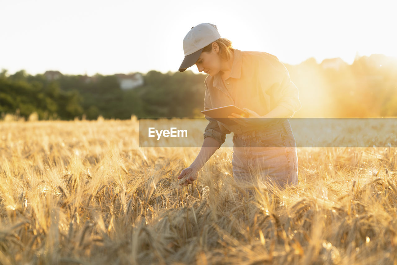 Woman holding digital tablet in field at sunset examining barley ear