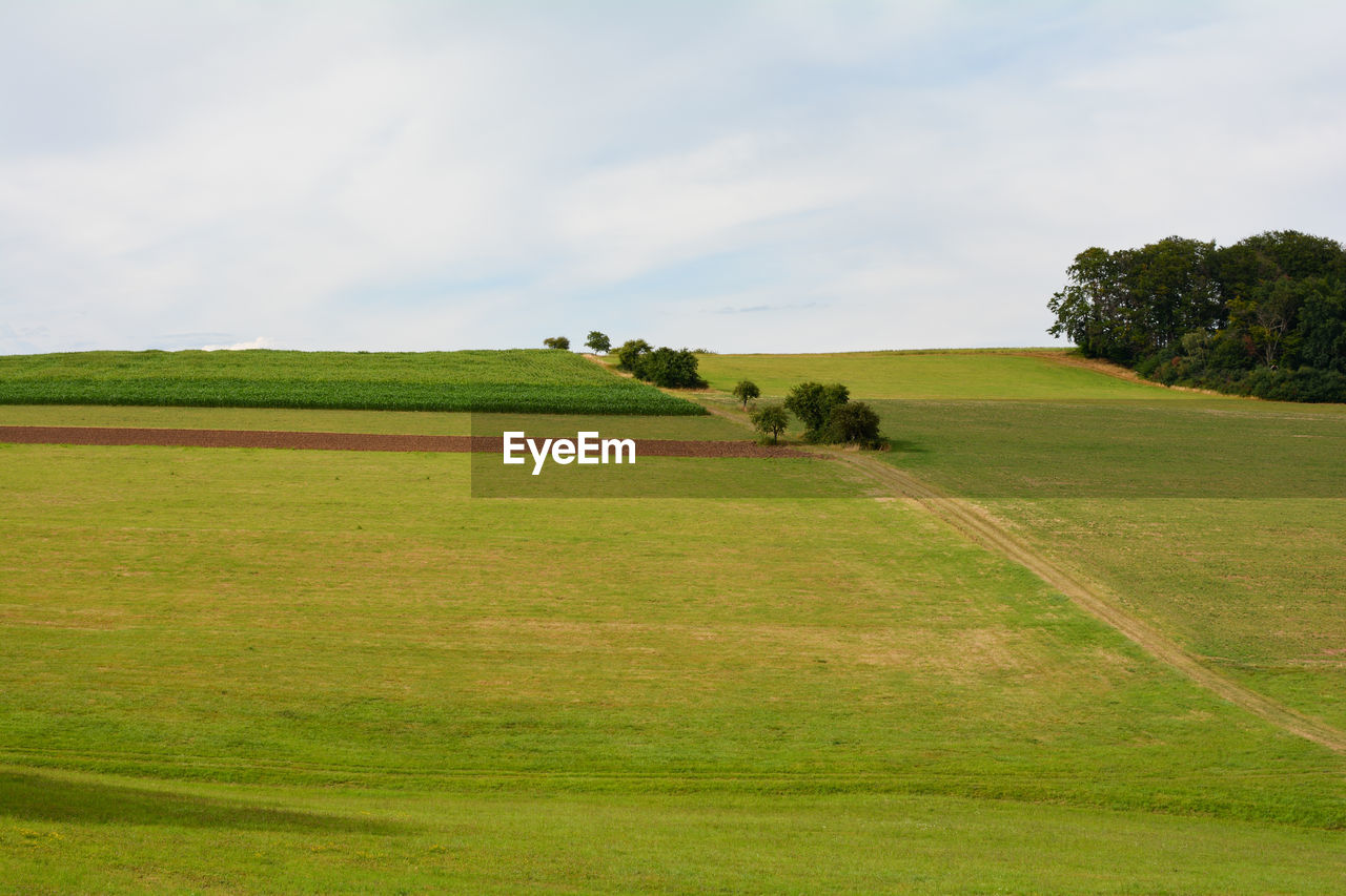 SCENIC VIEW OF GREEN LANDSCAPE AGAINST SKY