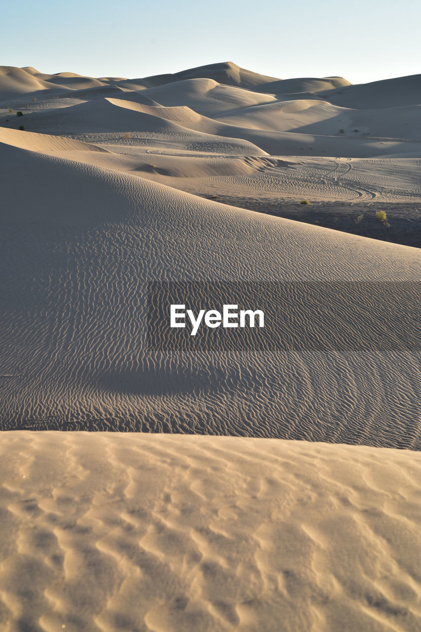 Sand dune in desert against sky