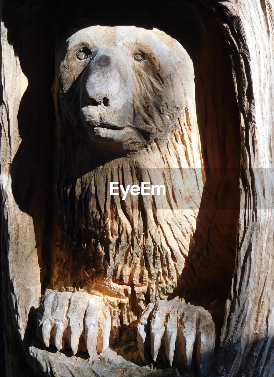 Animal Themes Bear Close-up Light And Shadow Mountain Art No People One Animal Popular Art Representation Sculpture Wooden Sculpture