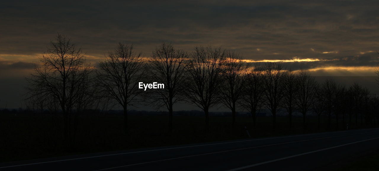 SILHOUETTE OF TREES AGAINST CLOUDY SKY