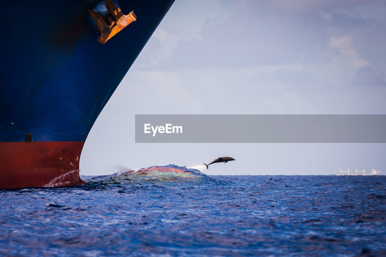 Fish diving in sea with ship in foreground