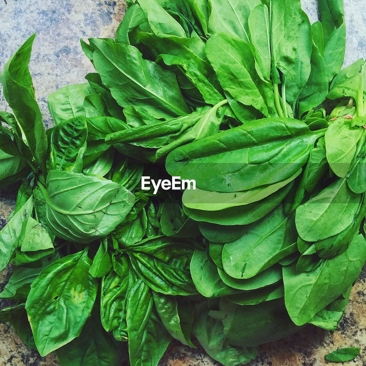 Close-up of leaf vegetables on table