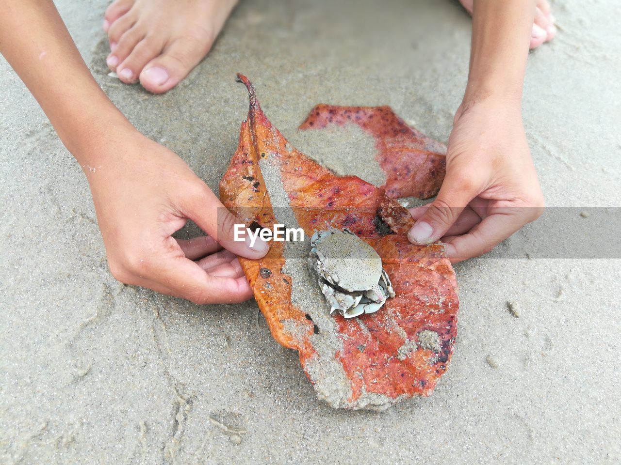 HIGH ANGLE VIEW OF HANDS HOLDING FOOD