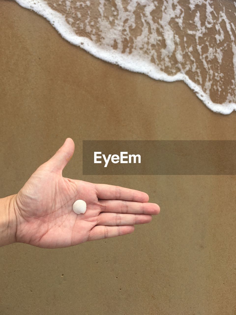 HIGH ANGLE VIEW OF HUMAN HAND ON BEACH