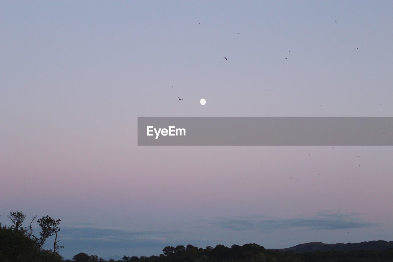 LOW ANGLE VIEW OF SKY AT SUNSET