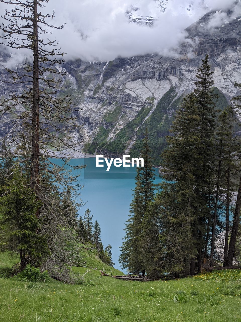 Scenic view of lake and trees against mountains